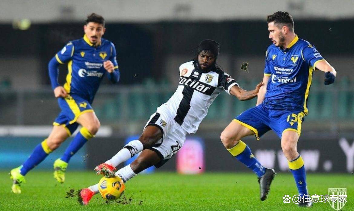 开云在线直播-帕尔马主场不敌对手，陷入连败困境